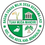 bumdesma